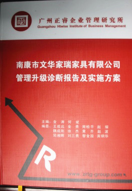 2013年11月20日，金海岸咨询专家老师向文华家瑞决策层陈述调研报告