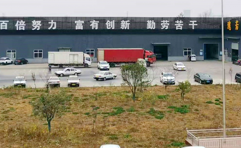 打造自驱力——瑰霖若携手金海岸咨询启动全面管理升级项目
