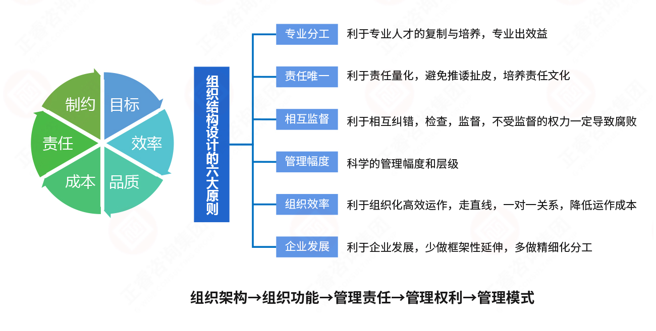 组织结构设计原则 组织结构设计原则