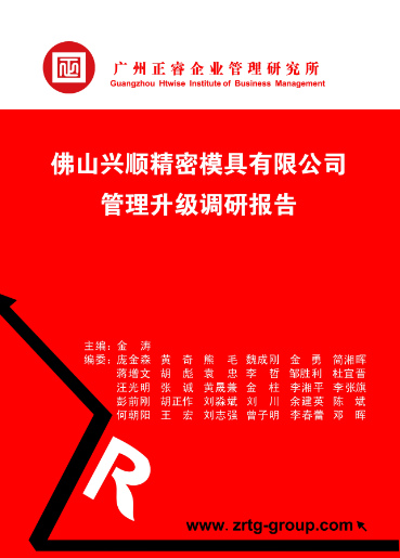 金海岸咨询专家向兴顺公司决策层陈述调研报告书